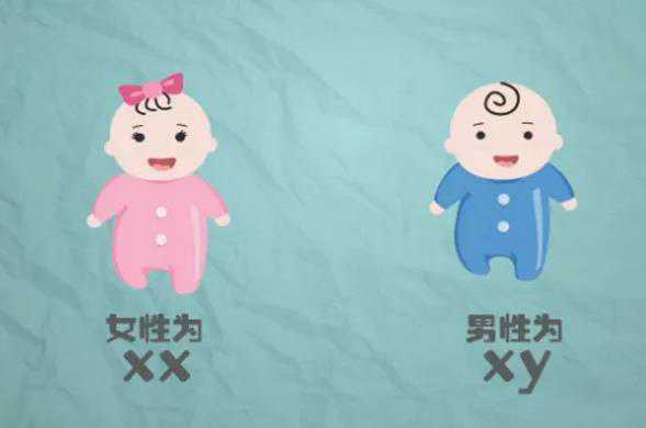 南京代生需要多少费用，怀孕可以去通乳吗