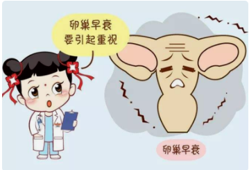 南京专业供卵机构电话，百白破疫苗前可以吃东西吗