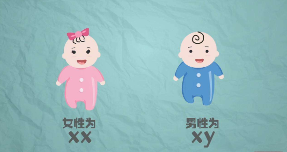 南京南京906医院试管婴儿怎么样？