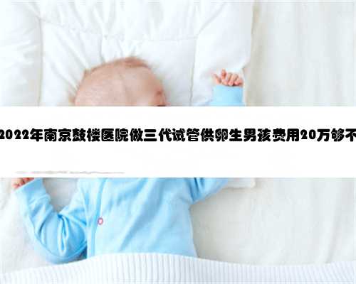2022年南京鼓楼医院做三代试管供卵生男孩费用20万够不