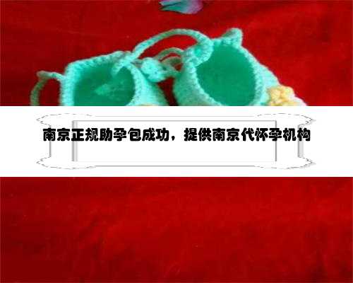 南京正规助孕包成功，提供南京代怀孕机构