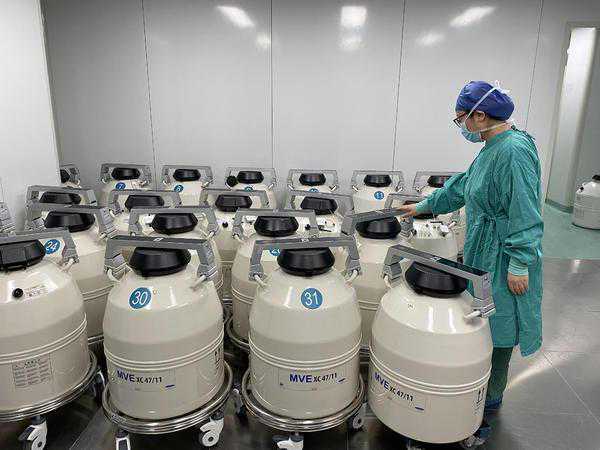 一天能冷冻200多枚胚胎！揭秘胚胎实验室：胚胎师“流水线”作业，有人一年换