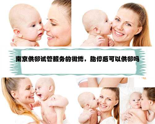 <b>南京供卵试管服务的微博，胎停后可以供卵吗</b>